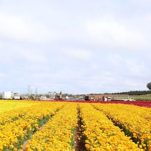 Meet your Posher, Melanie